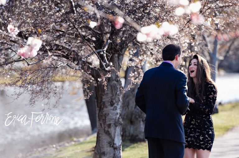 boston_proposal_robertjanna_ericaferronephotography-1